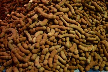 Tamarinda - HASRAH FRESH FOODS & LOGISTICS LIMITED - Ghana
