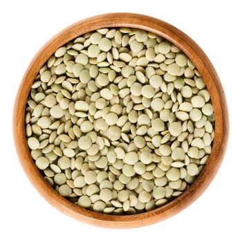 Organic Farm Selected Green Lentils Dried Legume Supply With Crop Quality And Secure Bags from malter group Organic Farm Selected Green Lentils Dried Legume Supply With Crop Quality And Secure Bags - malter group - Tanzania