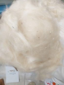 Kapok Fiber - CV. Priskilla - Indonesia