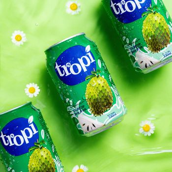 330ml Canned TANDO Vietnam Soursop Fruit Juice Drink OEM Private Label Various Tropical Fruit Manufacturer - TAN DO REFRESHING WATER COMPANY LIMITED - Vietnam
