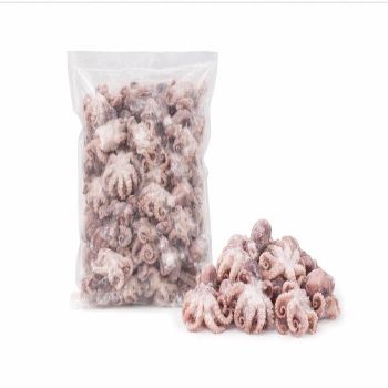 Fresh frozen baby octopus whole available for global trade with secure packaging - TRADECENTRIC LLC - United States
