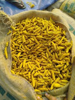 TURMERIC FINGER IPM - KSR INTERNATIONAL TRADE MANUFACTURING - India