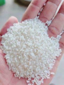 Rice 100% broken - MEME GROUP COMPANY LTD - Cameroon