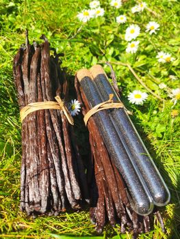 VANILLA BEANS from VOLOLONIRINA VANILLA BEANS – product photo, Dried Vanilla Beans products found from trusted suppliers, wholesalers, manufacturers & exporters Listing