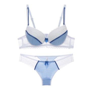 Ladies Fashion Bra and Panty Set Sexy Underwear Set with Cup Lace Ladies Underwear Ladies Lingerie Sexy Underwear Ladies Panty Bra-Walmart/BSCI - SHANTOU HUICHEN FASHIONS CO.,LTD. - China