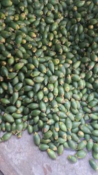 Fresh Young Betel Nut Features Vegan Origin Indonesia - PT. Jexprom Sejahtera Indonesia - Indonesia