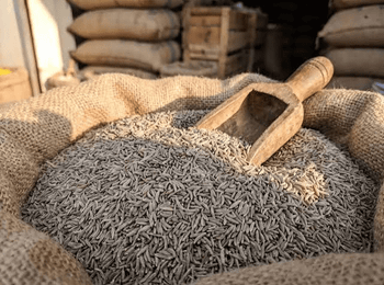 Cumin Seed – product photo, Grape Seed Powder products found from trusted suppliers, wholesalers, manufacturers & exporters Listing