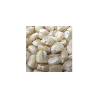 High Volume Corn Supply frozenchickenexports.com - AGROSTREAM EXPORTS AND IMPORTS PTY LTD - South Africa