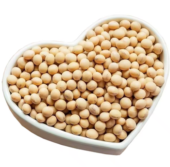 Soybean  - TRADE NEPAL LLC - United States