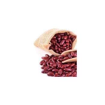 Red Kidney Beans Wholesale long shape Purple High Quality Sparkled Red Kidney Beans Bulk Factory Price Dark Red Kidney Beans - GOLDEN STAR BV - South Africa