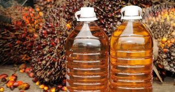 RBD Palm Oil CP10 Origin Indonesia Free Fatty Acid Max 0.1% Iodine Value 56 – 60 Wijs Packaging Flexibag/Flexitank Slip Melting Point 19 – 24 °c - Sevocta - Indonesia