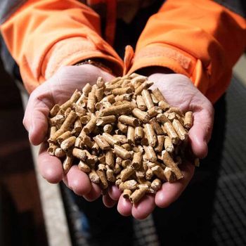 Natural Wood Pellets Providing High Calorific Value With Smooth Clean Burning Performance – product photo, Clean Natural Rice products found from trusted suppliers, wholesalers, manufacturers & exporters Listing