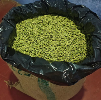 Buy Premium Spices – Grade A Green Cardamom 7mm–9mm Packed in 25Kg Jute Bags Whole Green Cardamom Ready Export - Sosa Merchant Solutions - Austria