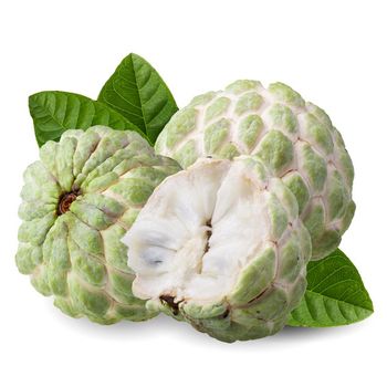 Fresh custard apple with high quality and good price , VIETGAP for export ready to shipping EU , US, ASIA Market - NGAN HOA PHAT TRADING SERVICE COMPANY LIMITED - Vietnam