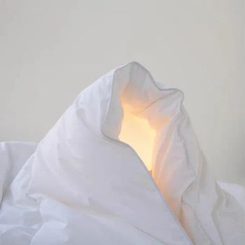 Wholesale Skinfriendly Goose Down Quilt Comforters 100% Cotton Cover - Guangzhou Unique Hotel Supplies Co., Ltd. - China