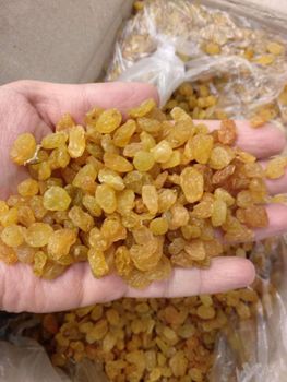 Export-Grade Sun-Dried Organic Seedless Raisins Sweet Bulk Natural Water Preserved in Stock Now Buy Direct From Supplier - CPW TRADE LTD - United Kingdom