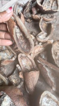 Coconut copra - PT RAGIL JAYA MANDIRI PROJECT - Indonesia