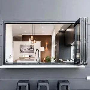 Aluminum Tempered Glass Organ Horizontal Folding Partial Windows French Design Double Window - Foshan Starveil Building Materials Technology Co., Ltd. - China