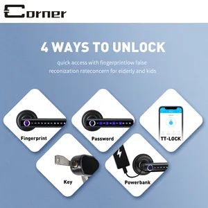 Stylish Ergonomic Handle Aluminum Alloy Battery Box USB Charging Smart Door Lock - Corner Hardware Company Limited - China