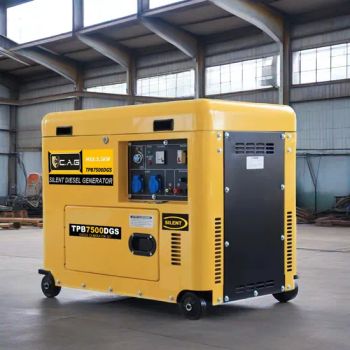 Diesel Power Generator 5000W 5500W 6000W with Wind Cooled Diesel Engines - Taizhou Artex Machinery Co., Ltd. - China