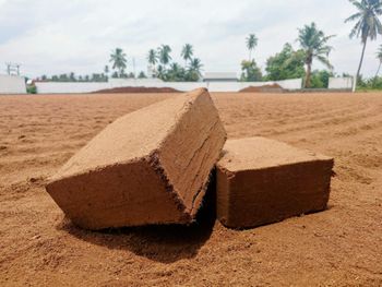 Coco Peat Texture Uniform Form 5kg Blocks Shelf Life Long Aeration Excellent Dust Level Dust-free Root Support - Portus Exports - India