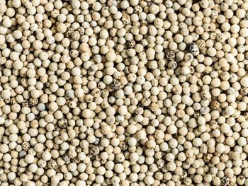 White Pepper
