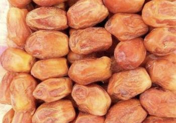 Zahedi date from Osareh nab sahand Zahedi date – product photo, Dates products found from trusted suppliers, wholesalers, manufacturers & exporters Listing