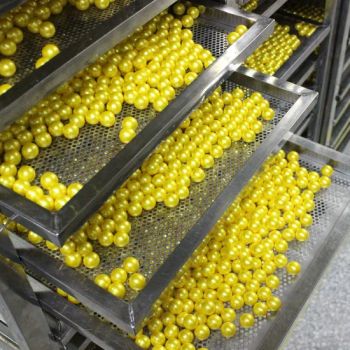 Ready Stock Paintballs 2000 Rounds/Case DHL/FedEx 7 Days Delivery - Hualiu Industrial Co., Ltd. - China