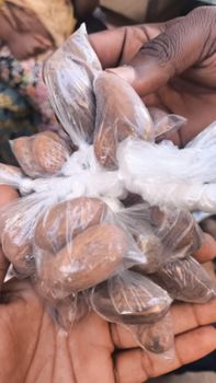 Garcinia bitter cola nut from White gold exporters Garcinia bitter cola nut - White gold exporters - India