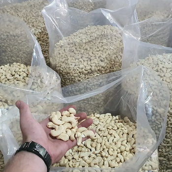 W320 CASHEW NUT KERNELS SUITABLE FOR SNACKING,BAKING,COOKING AND FOOD MANUFACTURING 1LB to 50Lb EXPORT QUALITY - Sosa Merchant Solutions - Austria