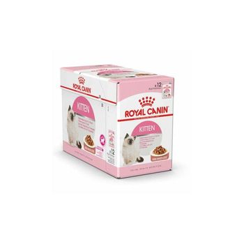 Royal Canin Quality Dog Cat Food Healthy Daily Diet Wholesale Bulk Supply - Koto Global Trade SPRL - Belgium