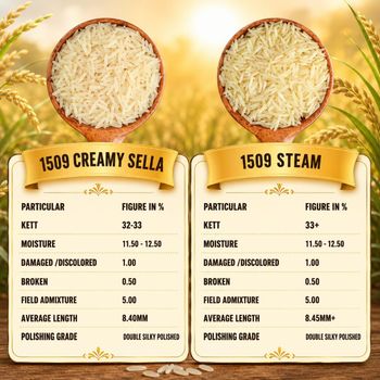 Basmati Rice from The Indian Universal EXIM Basmati Rice - The Indian Universal EXIM - India