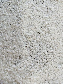 Myanmar Short Grain White Rice 5% Broken from YES YES ARGO COMMODITIES TRADING COMPANY LTD Myanmar Short Grain White Rice 5% Broken - YES YES ARGO COMMODITIES TRADING COMPANY LTD - Myanmar