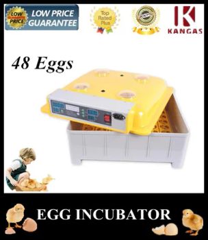 CE Approved Small Incubator for Chicken Quail Eggs - KANGAS INDUSTRIAL CO., LTD. - China