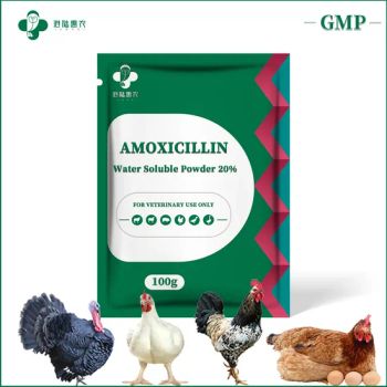 China Brand Veterinary Poultry Medicines Amoxicillin Water Soluble Powder 10% 20% 30% 50% Antibiotic Medicine Treating Bacterial Infections - Shanghai Ganglu Huinong Biotechnology Co., Ltd. - China