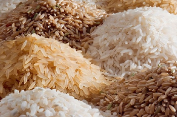 rice Minimum Order Quantity 20 Metric Tons Quality Grade Premium Export Quality (as Per Buyer Requirement) Storage Condition Cool & Dry Place (below 25°c, Away From - veera lakshmi overseas - India
