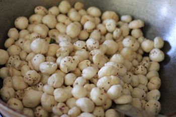 uts Makhana Storage Type Dry Content Fox Nuts Ingredients Lotus Seed Place of Origin Thailand Size Range 21 Mm To 26 Mm - Thai Agri Company - Thailand