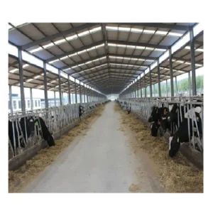 Storage Poultry Chicken Poultry Farm Shed Low Price Prefab Steel Structure Dairy Cow Shed - Shandong Hongtian Heavy Industries Co., Ltd. - China
