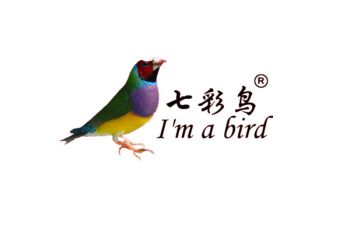 Product - Weifang Hengda Kite Manufacture Co., Ltd. - China