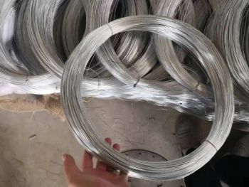 1 65mm1 2mm Galvanized Iron Wire Metal Iron Galvanized Steel Wires Galvanized 0 2mm - Dingzhou shengbo Metal Products Co., Ltd. - China