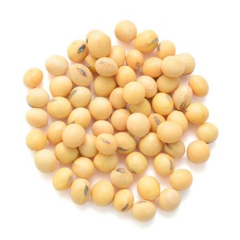 Wholesale High Quality Soybean/Soya Bean, Soybean Seeds - AGRONOVA - United States