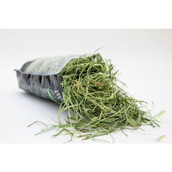 Timothy hay wholesale bulk stock discount price fast delivery export supplier - BMU TRADING GMBH - Germany