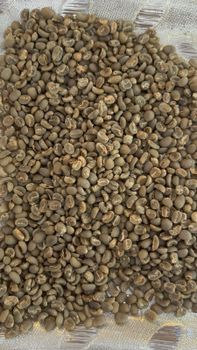 GREEN BEAN ARABICA GAYO GRADE 1 - PT Iceh Agro Indonesia - Indonesia