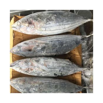 Frozen Loin Yellow Fin Tuna Fish at Reasonable Price Grade A Origin Europe Pricing Best Price Quality High Quality Delivery Fast Delivery - NUTRIDIET LDA - United Kingdom