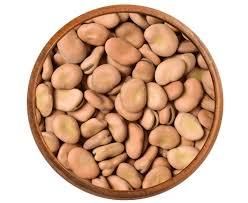 Egyptian fava beans - Ezz company - Egypt