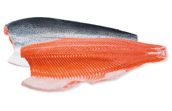 Trout Fillet with Skin - Caleta Bay Mar SpA - Chile
