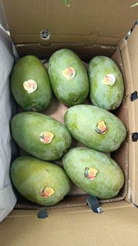Mango (White Chaunsa) from Classic Enterprises Mango (White Chaunsa) - Classic Enterprises - Pakistan