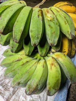 FRESH BANANA from TRIANI BARAKA BANUA FRESH BANANA – product photo, Fresh Banana Leaf products found from trusted suppliers, wholesalers, manufacturers & exporters Listing