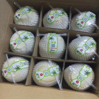 Song Nam Fresh Young Coconut in Vietnam Place of Origin Viet Nam Brand Name Song Nam ITD Co., Ltd. Address 98 Tran Quang Khai, Tan Dinh Ward, District 1, HCMC, - Song Nam ITD - Vietnam