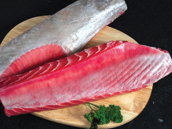 Frozen Yellowfin Tuna Belly Texture Soft Color Vibrant Flavor Vibrant Treatment Options Co Treated, Non-co, Vitamin Treated, Ts - Hai Trieu Co., Ltd.,  - Vietnam